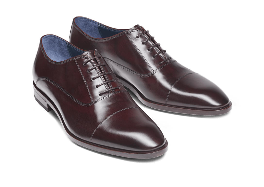 Oxblood cap toe oxford online